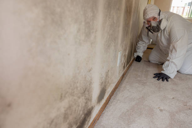 Best Post-Construction Mold Inspection  in Crivitz, WI